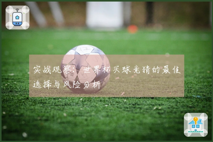 实战观察：世界杯买球竞猜的最佳选择与风险分析