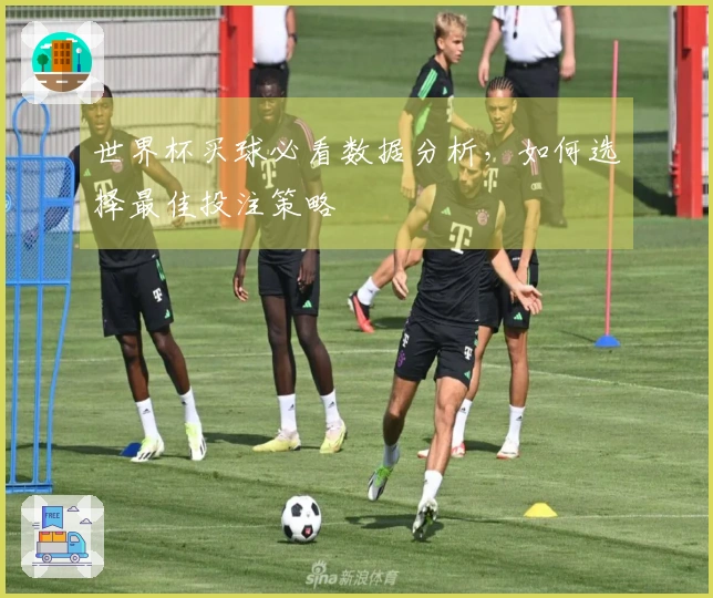 世界杯买球必看数据分析，如何选择最佳投注策略