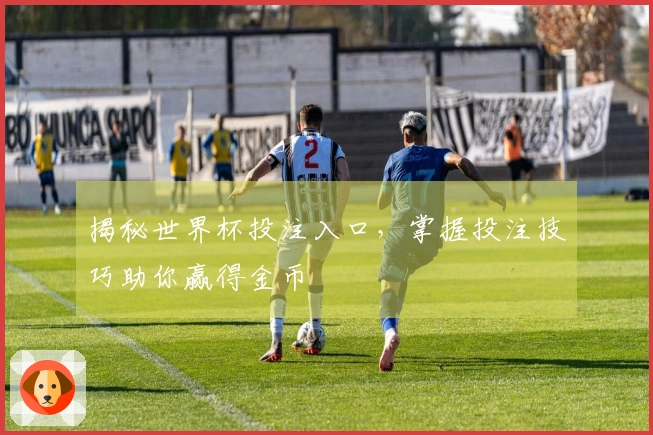 揭秘世界杯投注入口，掌握投注技巧助你赢得金币