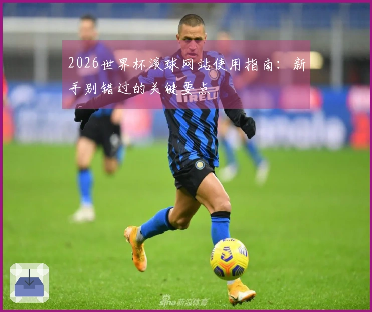 2026世界杯滚球网站使用指南：新手别错过的关键要点