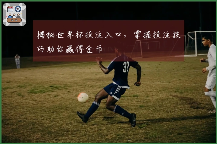 揭秘世界杯投注入口，掌握投注技巧助你赢得金币