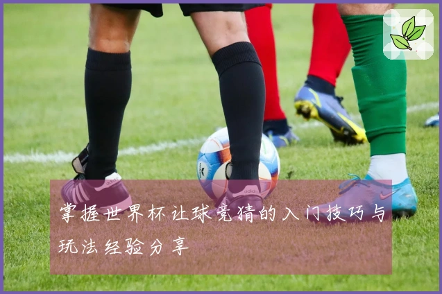掌握世界杯让球竞猜的入门技巧与玩法经验分享