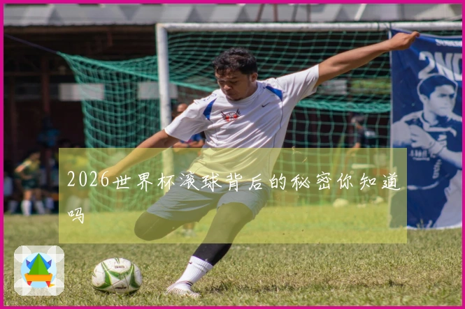 2026世界杯滚球背后的秘密你知道吗