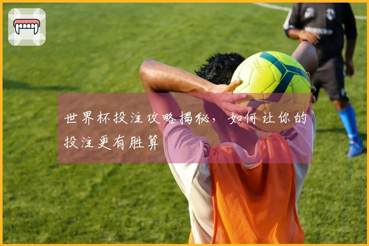 世界杯投注攻略揭秘，如何让你的投注更有胜算