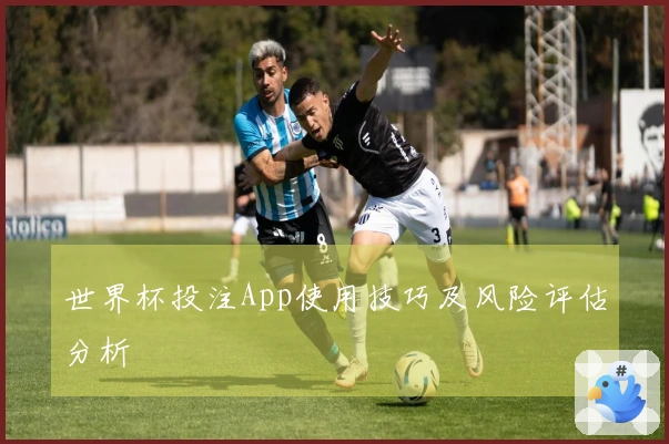 世界杯投注App使用技巧及风险评估分析