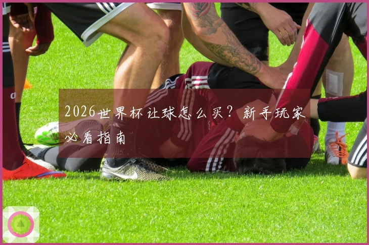 2026世界杯让球怎么买？新手玩家必看指南
