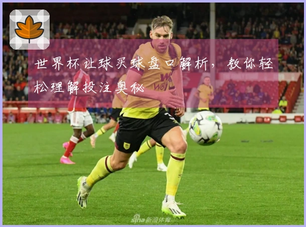 世界杯让球买球盘口解析，教你轻松理解投注奥秘