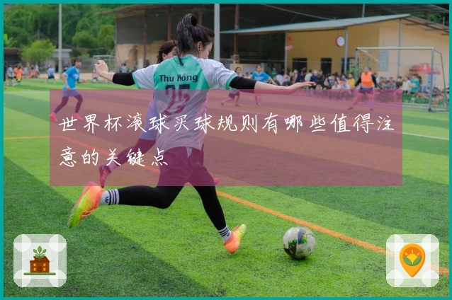 世界杯滚球买球规则有哪些值得注意的关键点