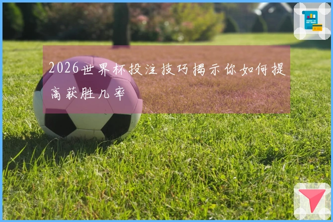 2026世界杯投注技巧揭示你如何提高获胜几率